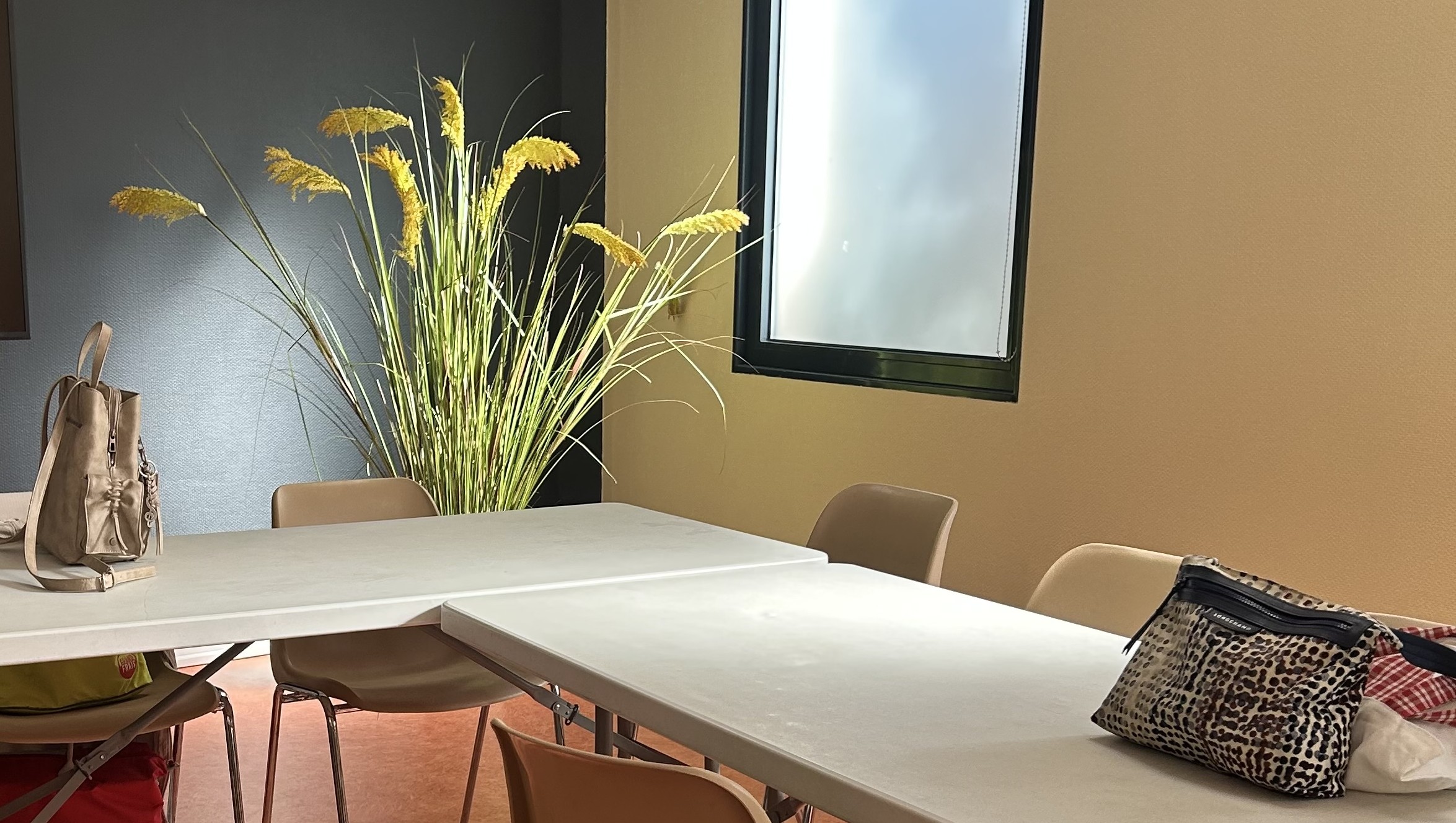 Vue de la salle de l'AEP Grézieu La Varenne